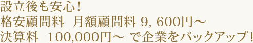 設立後も安心! 格安顧問料 月額顧問料 9, 600円~ 決算料 100,000円~ で企業をバックアップ!